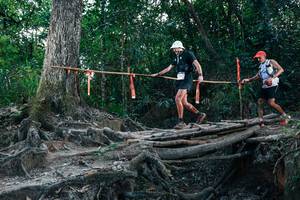 BIB: 
                            <button type="button" onclick="openModal(27806721)" class="btn btn-primary btn-sm float-right btn-popup" data-toggle="modal" data-target=".modal-high-quality">
                        <i class="fas fa-shopping-cart"></i> Add to Cart
                    </button>
                                            <button type="button" onclick="isThisMe(27806721, true)" class="btn btn-success btn-sm float-right btn-popup btn-isme hidden" data-toggle="tooltip" data-placement="bottom" title="นี่คือรูปของคุณใช่ไหม คลิกที่นี่เพื่อเอาเข้าอัลบั้ม">
                        <i class="fas fa-plus"></i> Add to album
                    </button>
                    <button type="button" onclick="isThisMe(27806721, false)" class="btn btn-warning btn-sm float-right btn-popup btn-isnotme hidden">
                        <i class="fas fa-ban"></i> Remove from album
                    </button>